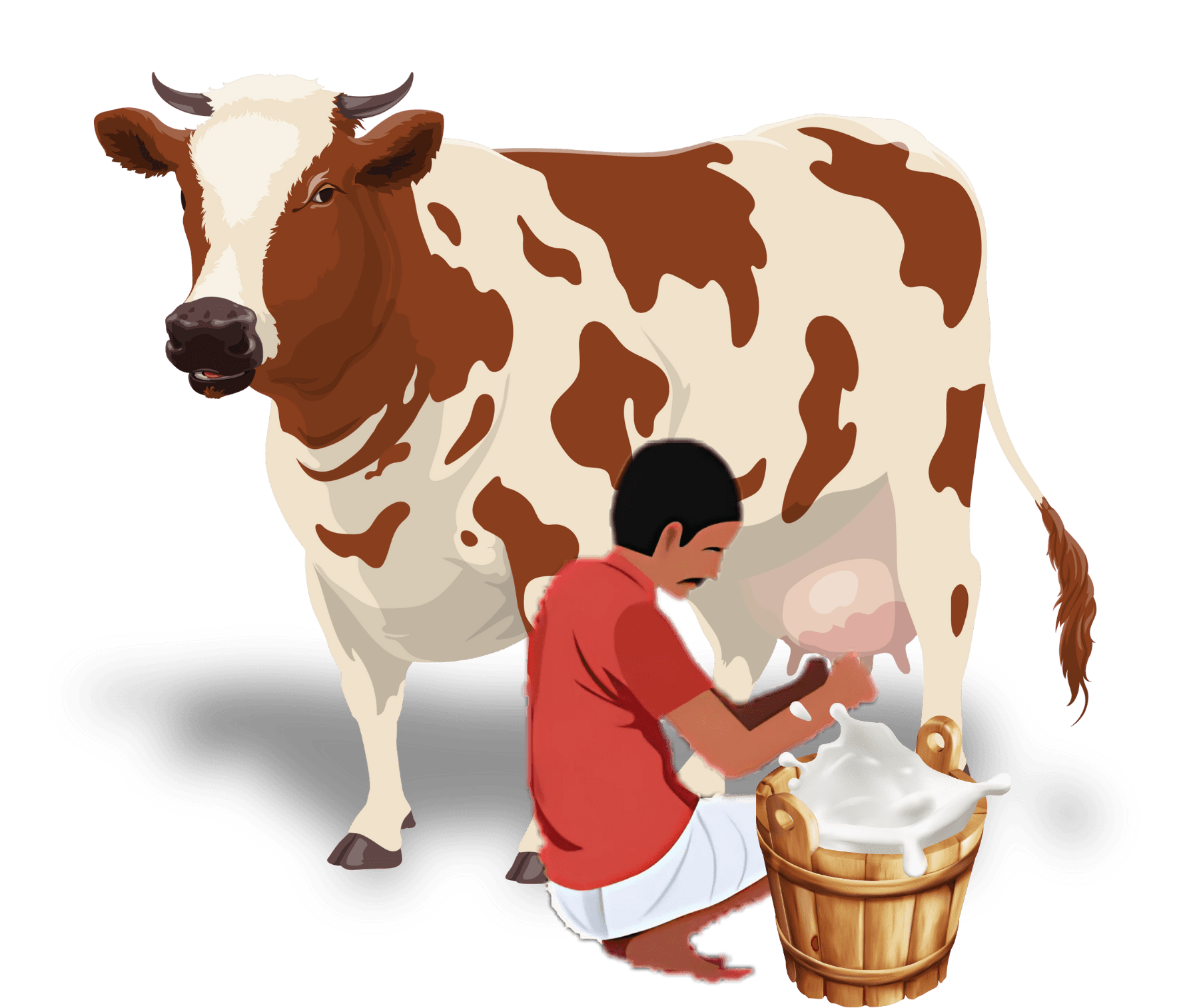 KHIRA CHOKADA Cattle Feed